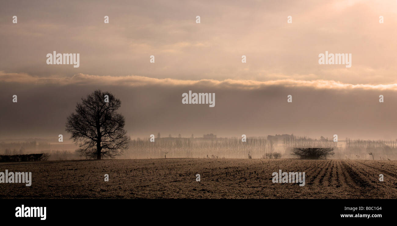 Early morning sun rising over a frosty field in Cowlinge Suffolk Stock ...
