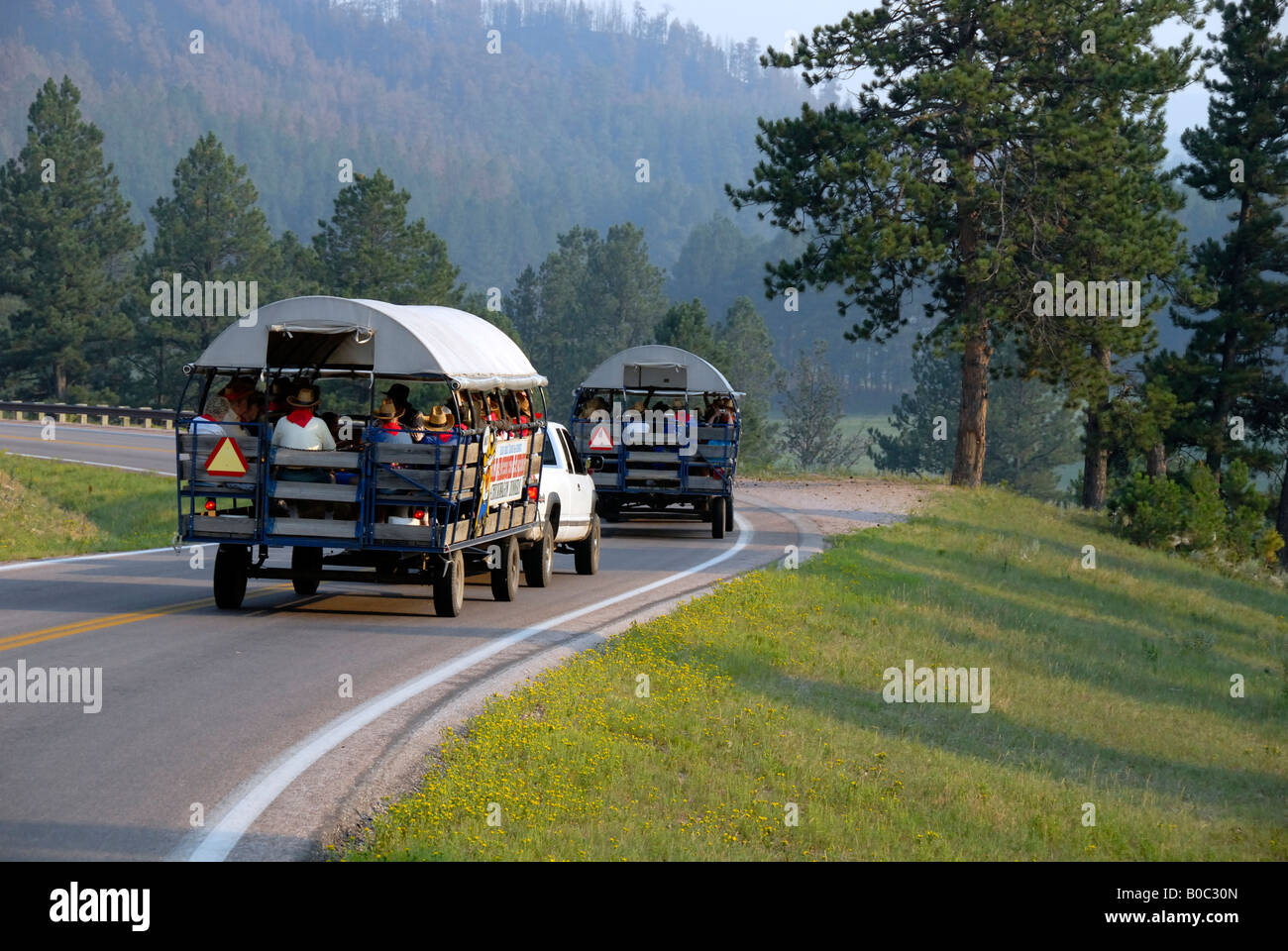North America, USA, South Dakota, Custer State Park. Blue Bell Lodge