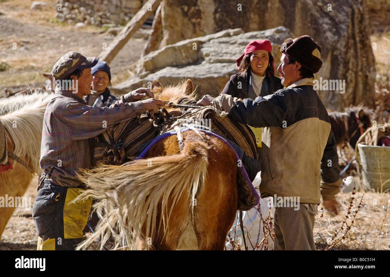 TIBETANS from PHU village transport supplies using HORSES in