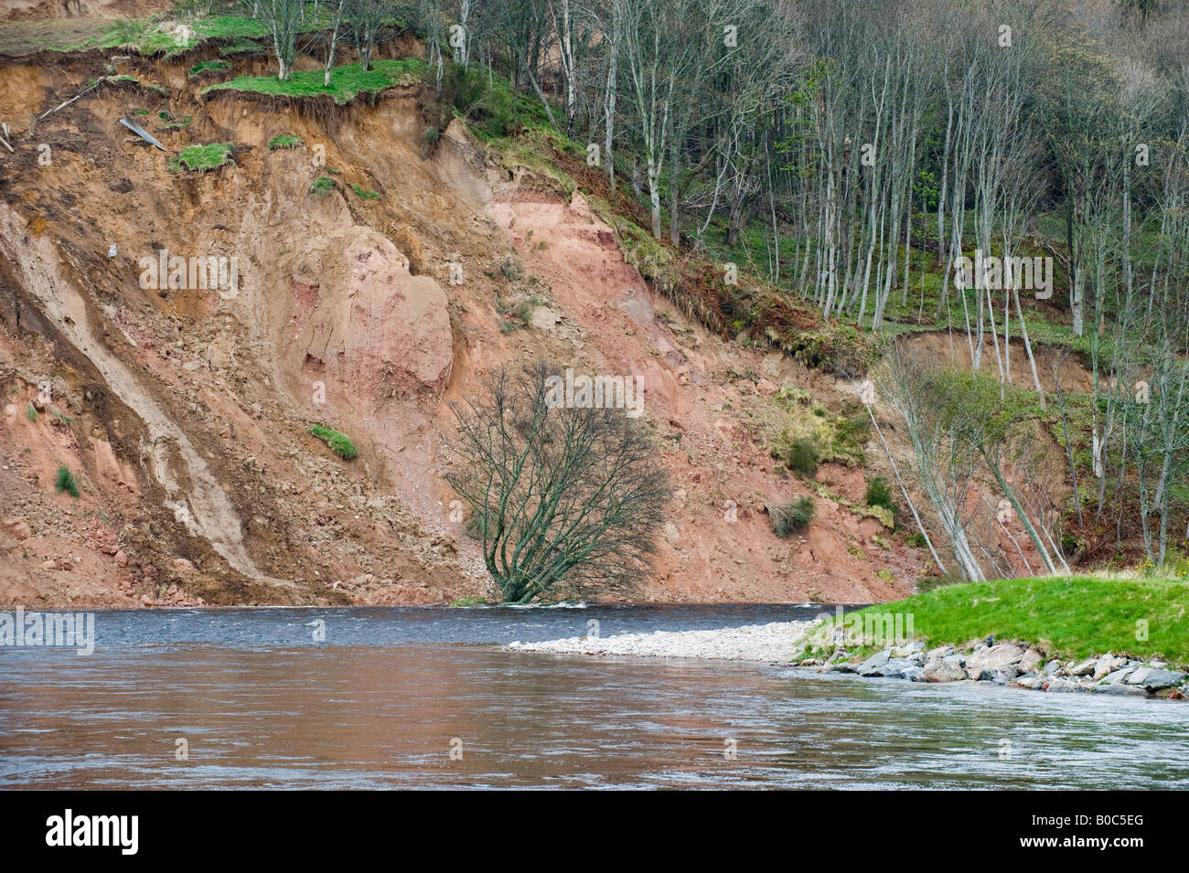 Major landslip in Apr 2008 on east bank of River Spey at Ordiquish near Fochabers in Moray, Scotland, United Kingdom Stock Photo