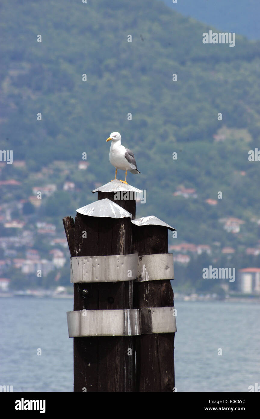 Lago Maggiore - Piemonte Italia Stock Photo