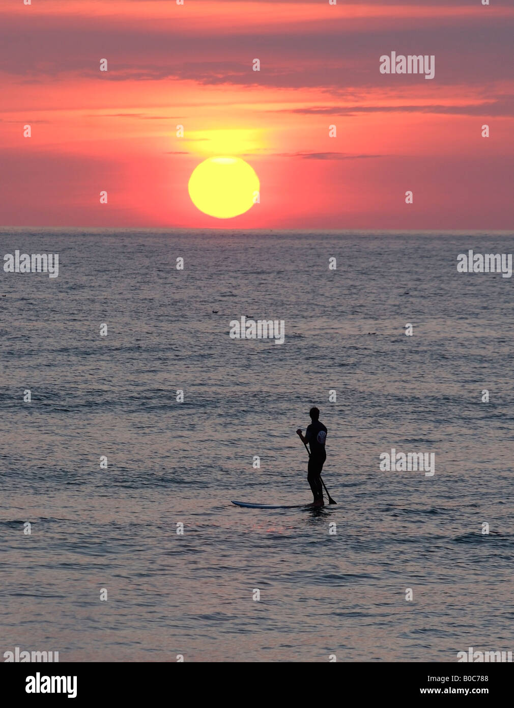 Stand-up paddle surfer at sunset, waiting for one last wave, Watergate Bay, near Newquay, Cornwall, UK Stock Photo