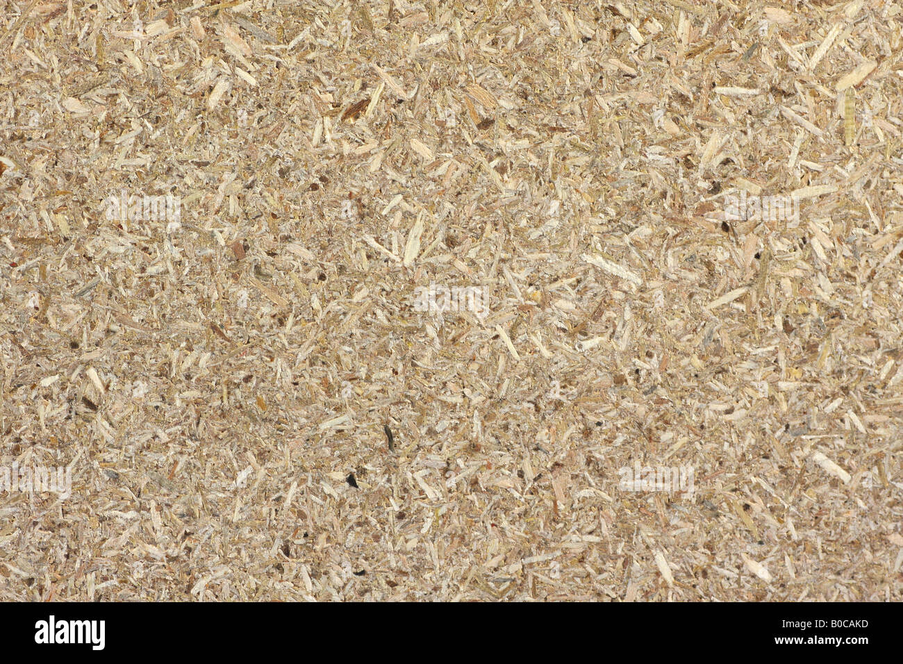 Compressed sawdust board Stock Photo - Alamy