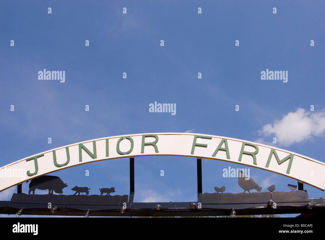 The Junior Farm At Wroxham Barns In Norfolk,Uk Stock Photo Alamy