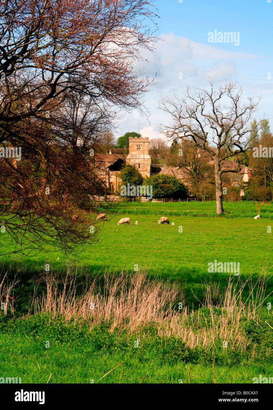 Coln St Dennis Church from Water Meadow Gloucestershire Cotswolds England UK Stock Photo