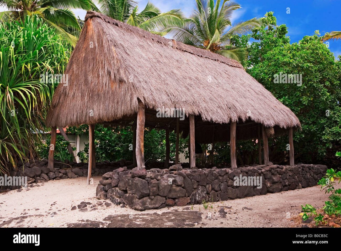 Image of a Hawaiian hut type of building with a thatched roof Stock Photo Alamy