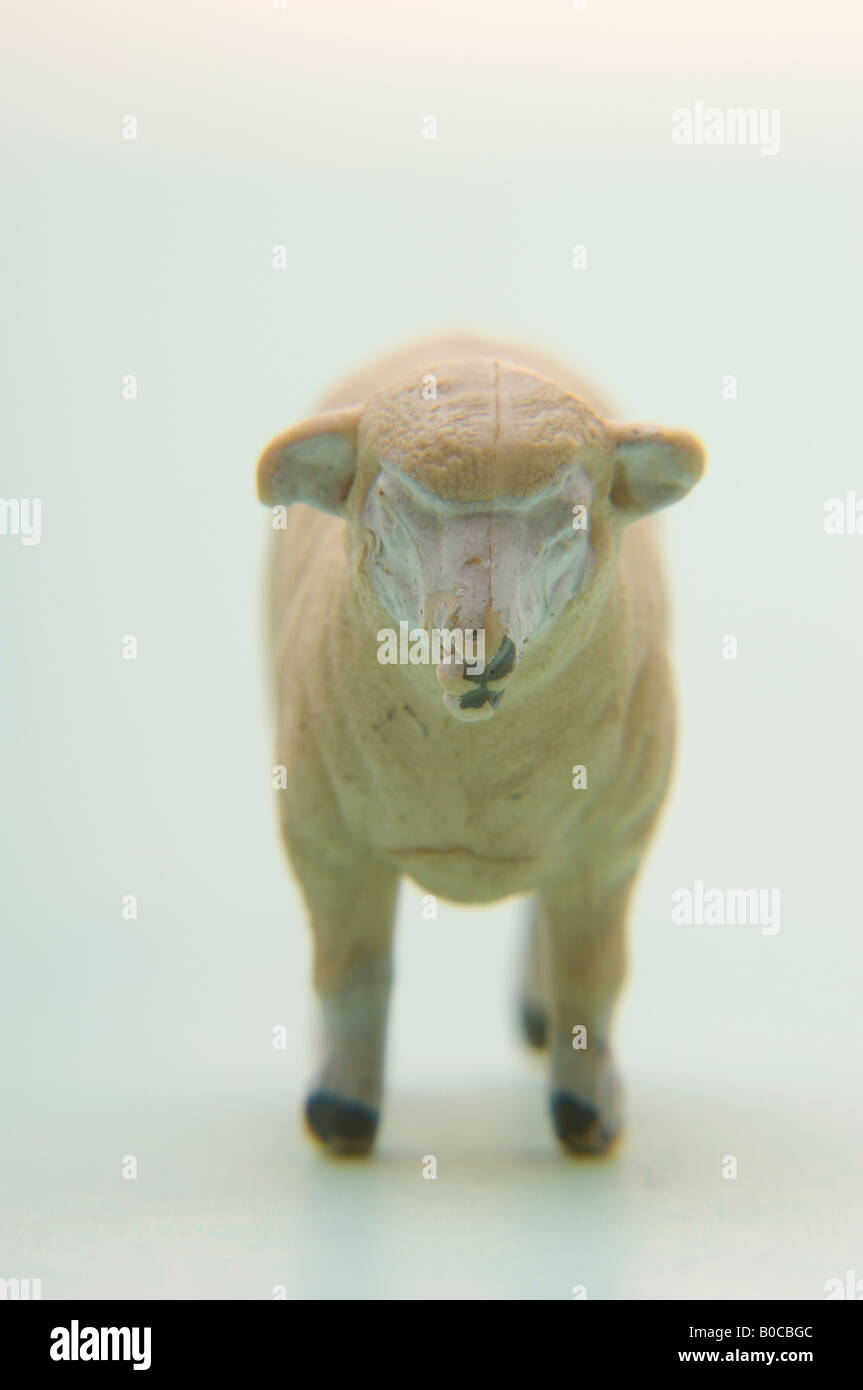 Plastic lamb farm animal toy Stock Photo