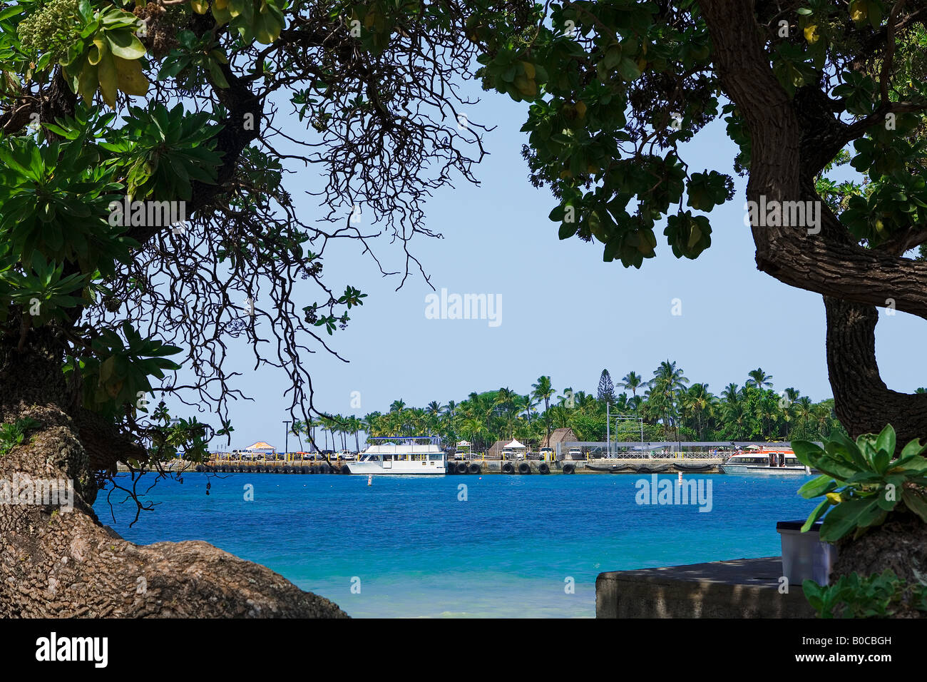 Image looking through a pair of tree trunks out across Kailua Bay toward the downtown dock areas and tourist ships Stock Photo
