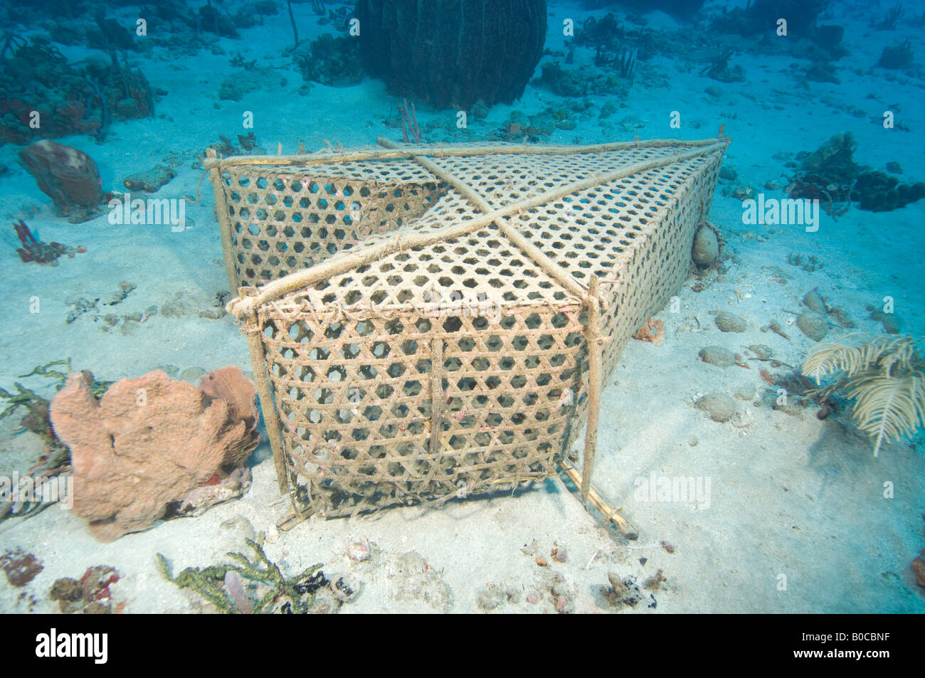 Woven fish trap, caribbean hires stock photography and images Alamy