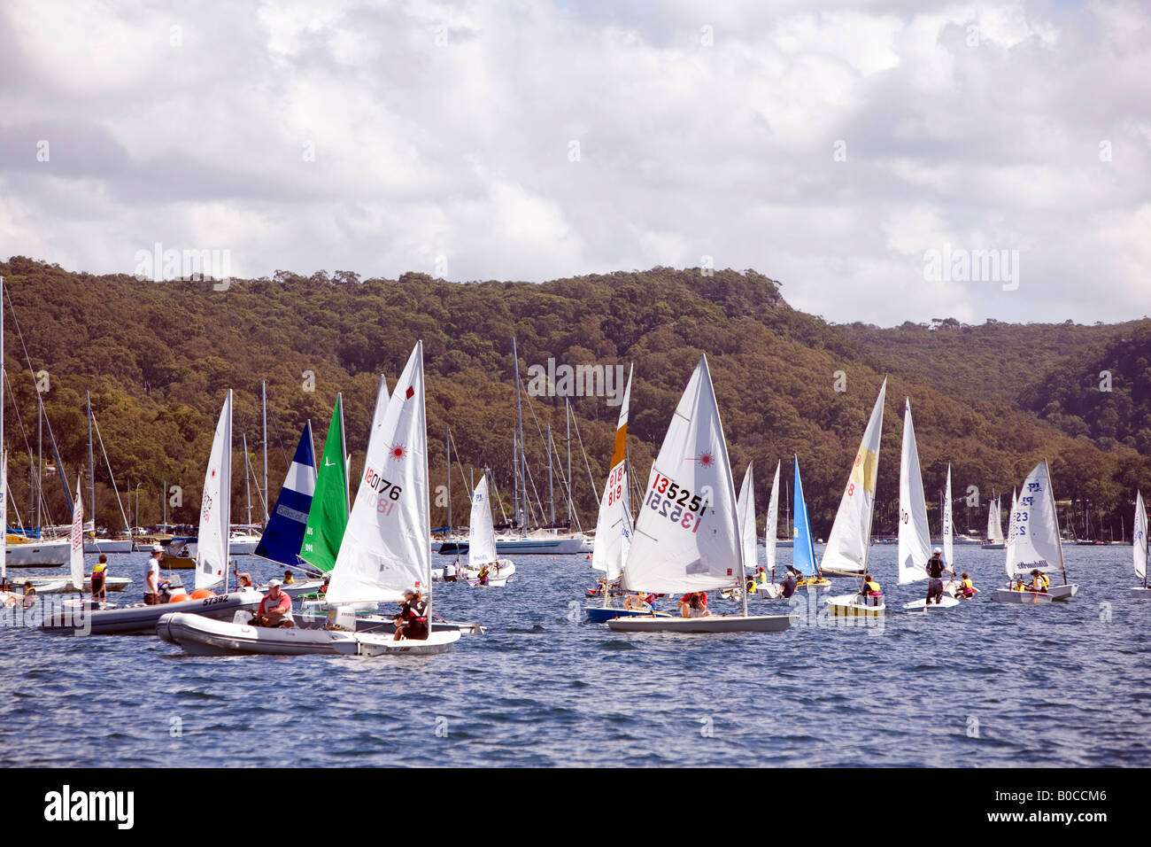 dinghy race on pittwater,new south wales,australia Stock Photo