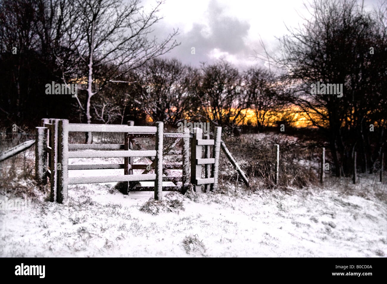 Ambient winter image with snow at a local nature reserve near Bury Lancashire UK Stock Photo
