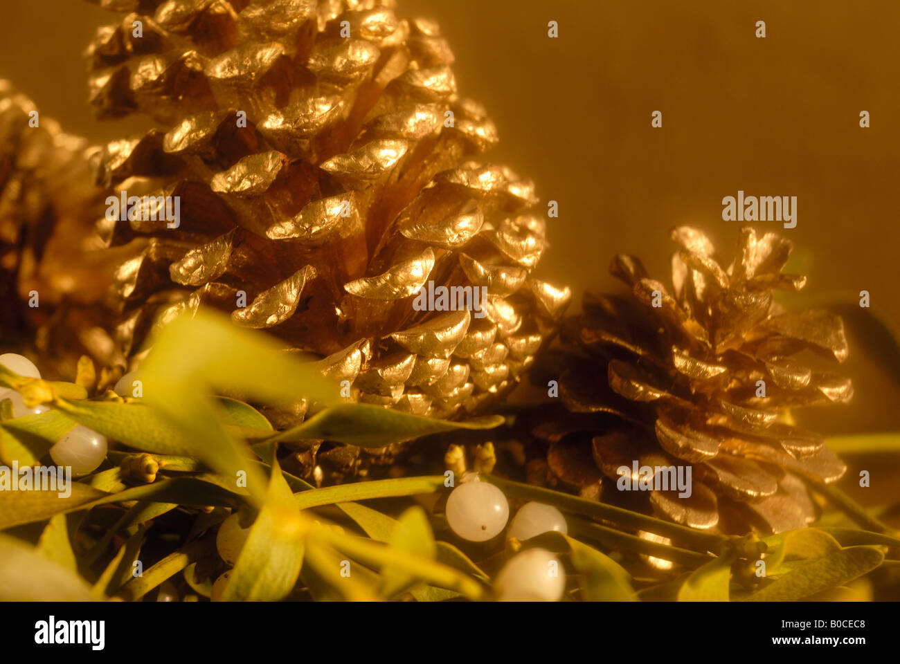 Glow of gold hi-res stock photography and images - Alamy