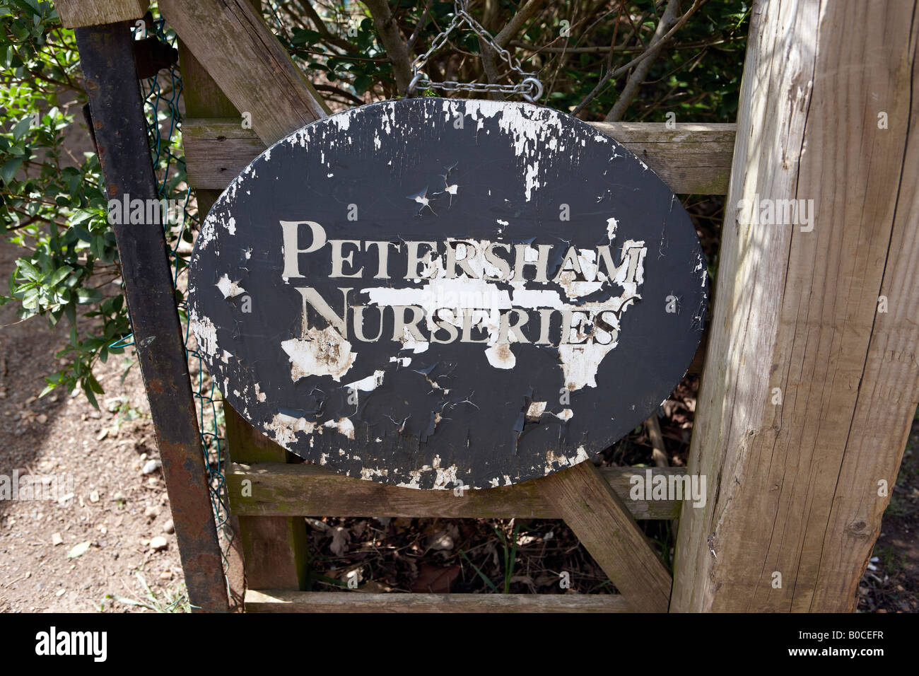 The Petersham Cafe. Stock Photo