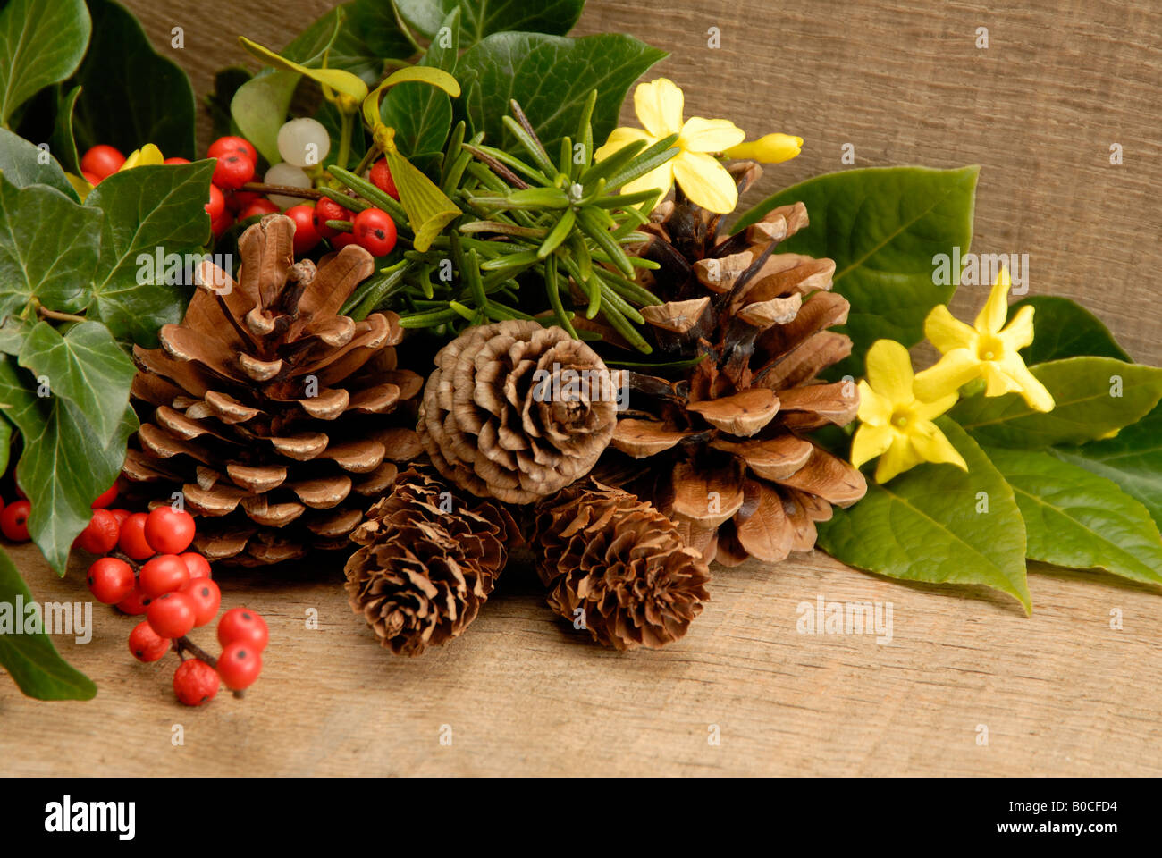 Winter foliage Stock Photo