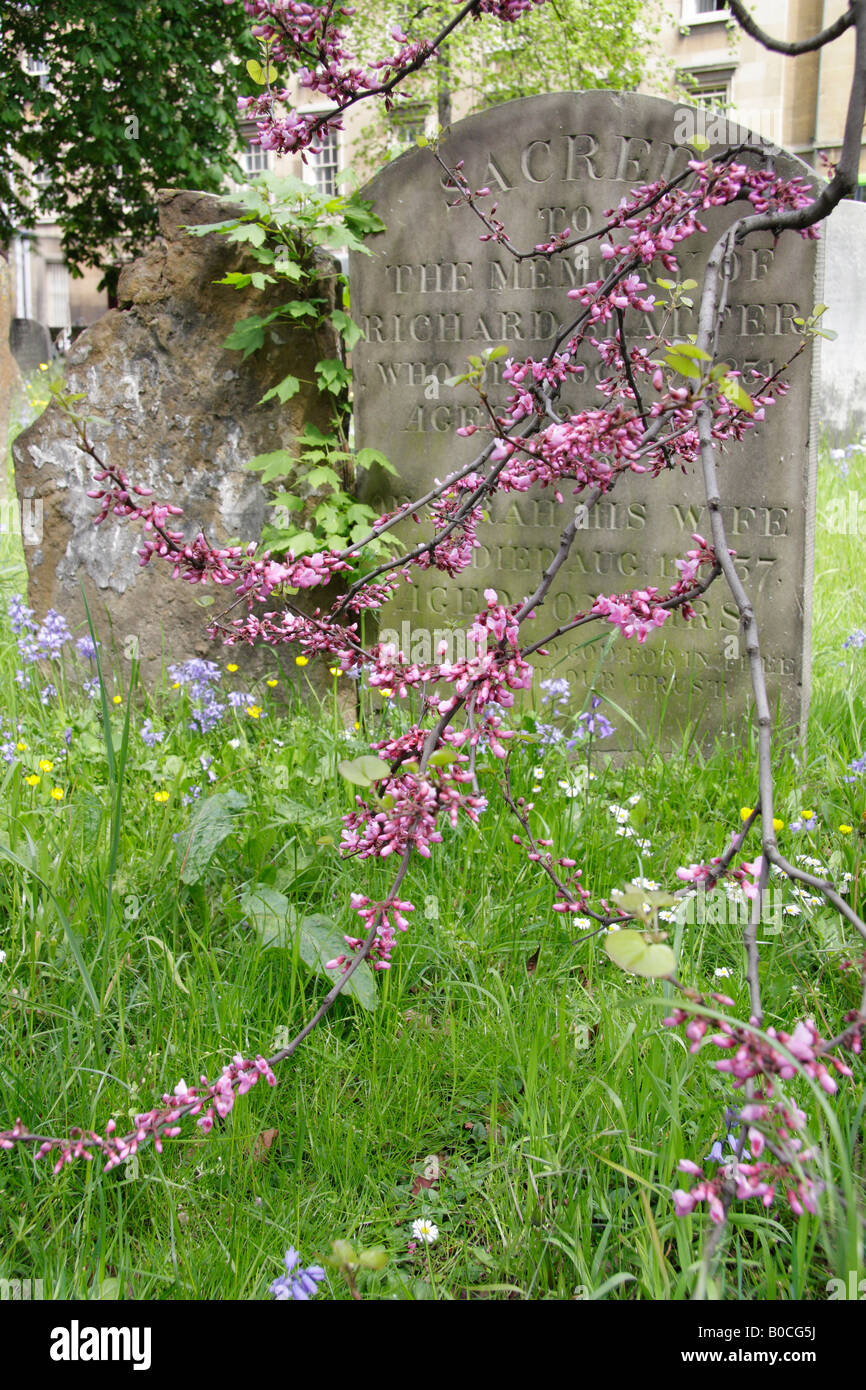 St mary magdalen hi-res stock photography and images - Alamy