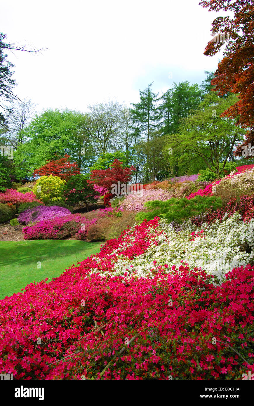 The 'Punchbowl', Valley Gardens, The Royal Landscape, Windsor Great