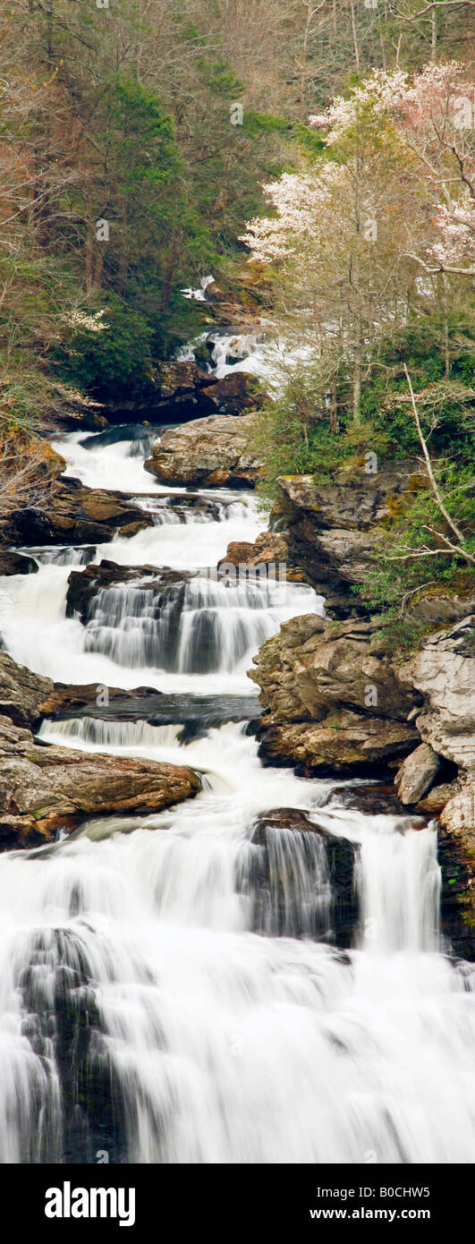 Cullasaja Falls in spring, Mounain Water Scenic Byway US 64 and NC 28 ...