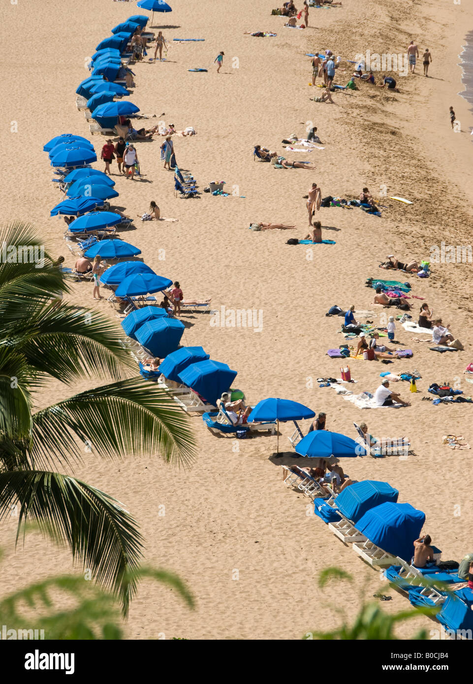 Beach tents umbrellas lined up at Sheraton Maui resort hotel Kaanapali Maui Hawaii Stock Photo
