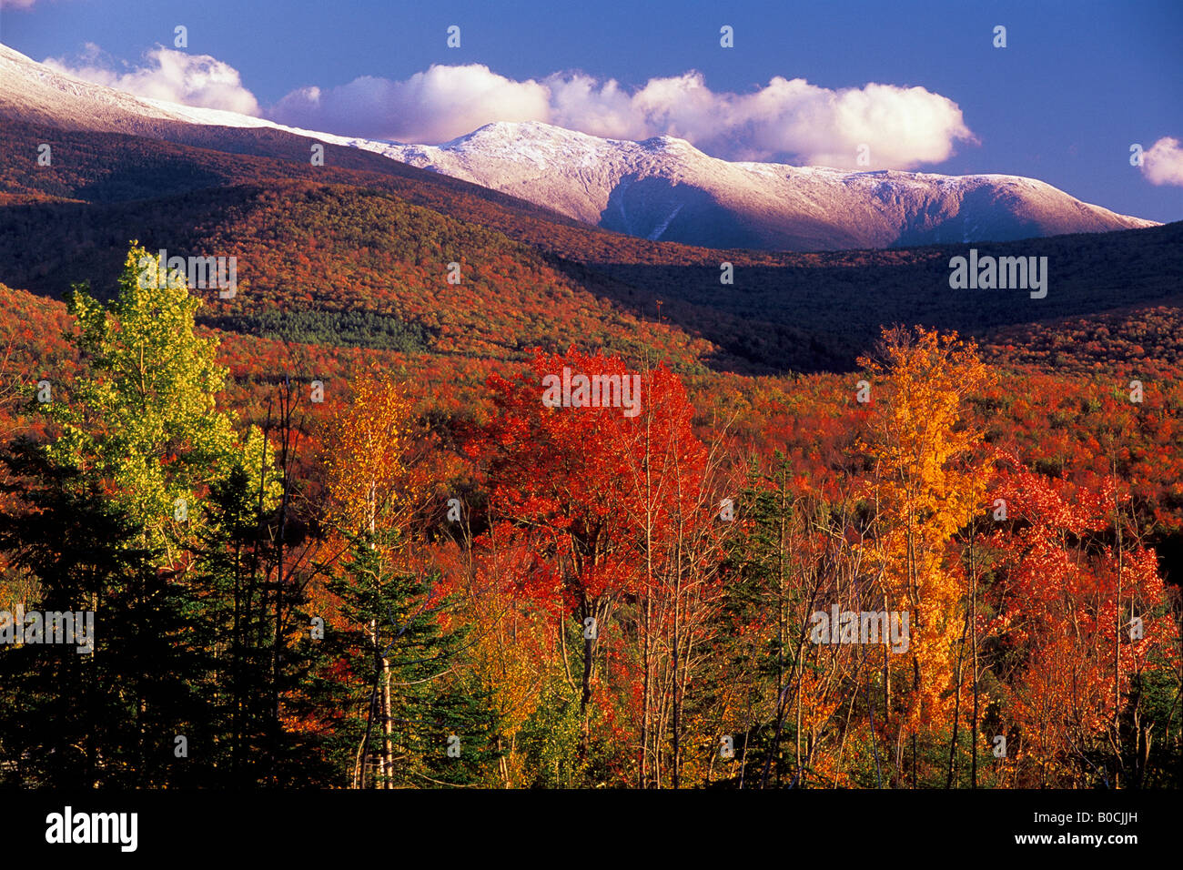 Presidential Mountain Range in Autumn White Mountains National Forest
