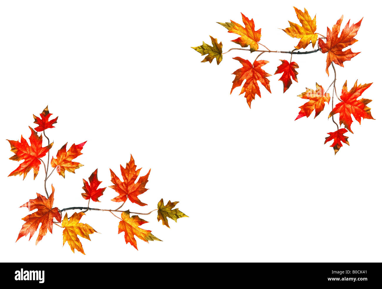 Framed background with red fall maple leaves Stock Photo - Alamy