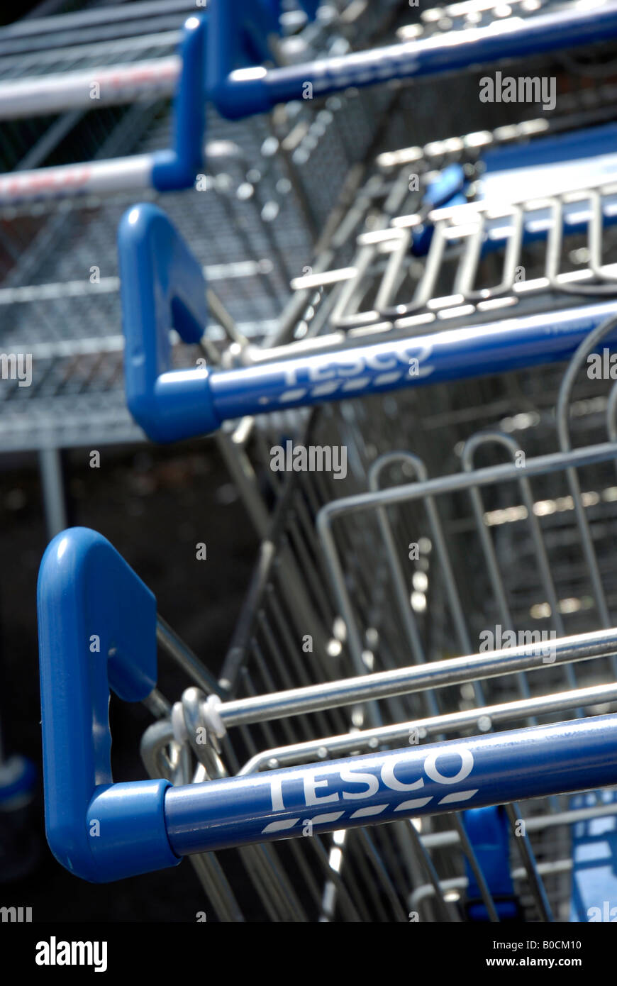 Tesco supermarket trolleys Stock Photo Alamy