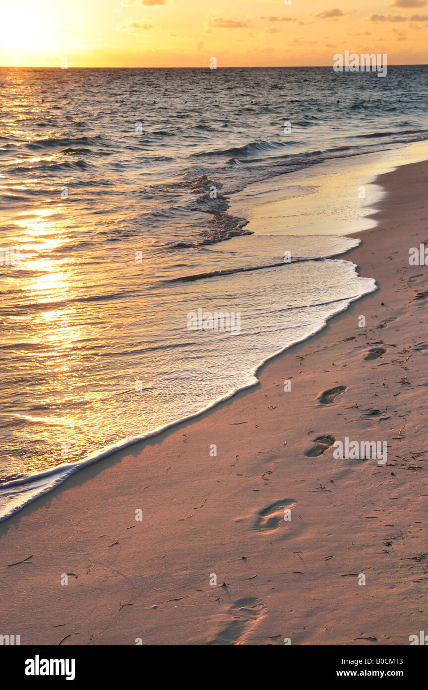 Footprints on sandy tropical beach at sunrise Stock Photo