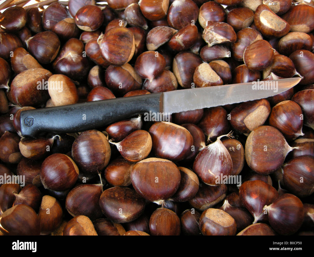 Chestnuts Stock Photo
