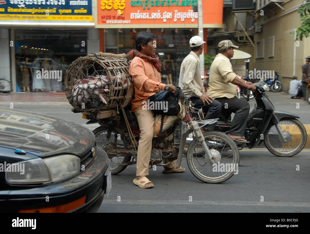 man carrying pig on motor bike, phnom penh, cambodia Stock Photo
