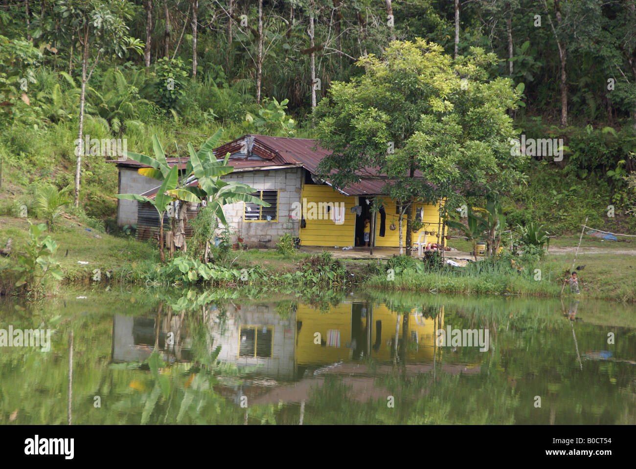 Native housing beside a lake in Sarawak Stock Photo