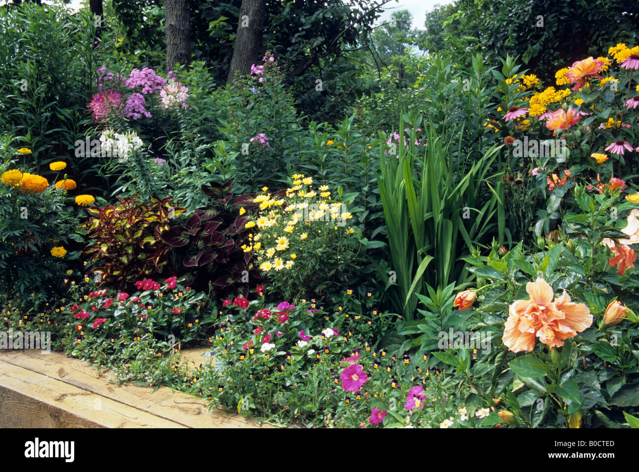 COLORFUL SUN GARDEN OF PERENNIALS AND ANNUALS IN RURAL MINNESOTA. SUMMER. Stock Photo