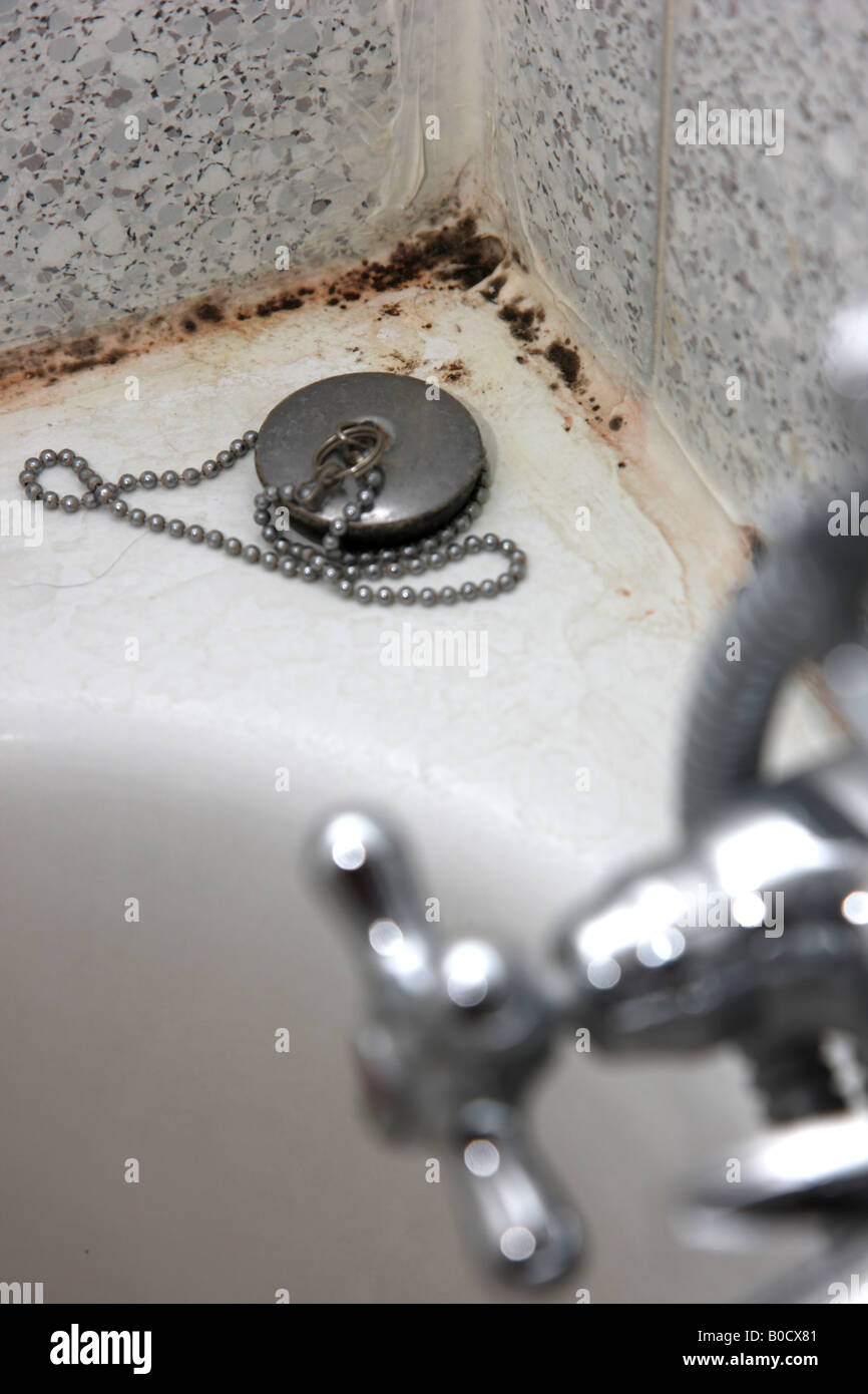 Black mold on the tiles and on a bathtub in a bathroom Stock Photo Alamy