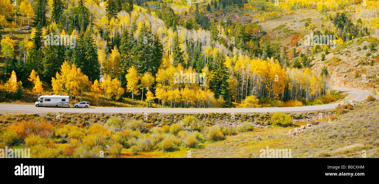 Aspen tree groves and Highway 149 in fall, Curecanti National