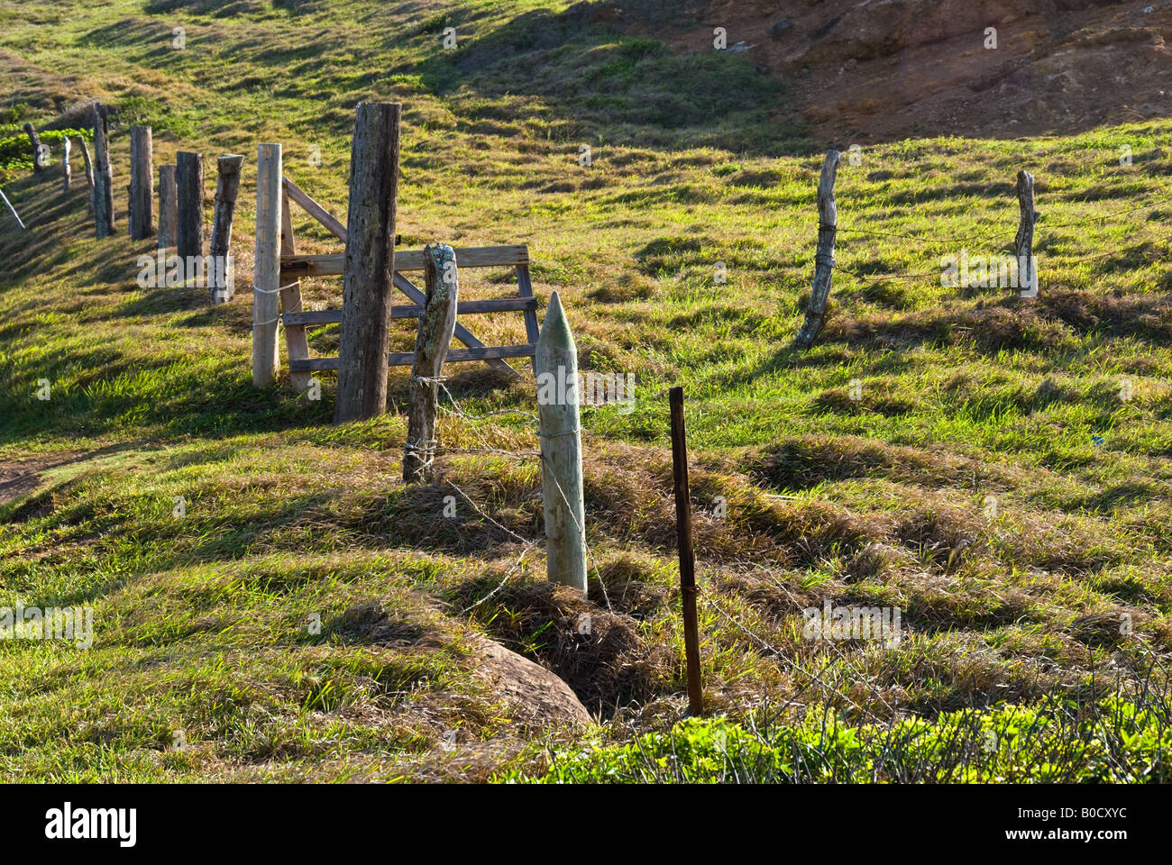 Intersection Fences Intersection of fences in grassland on the north coast of Maui Hawaii ...