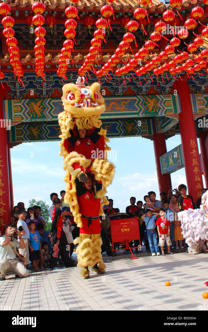 Lion dance performance during Chinese New Year festival Stock Photo - Alamy