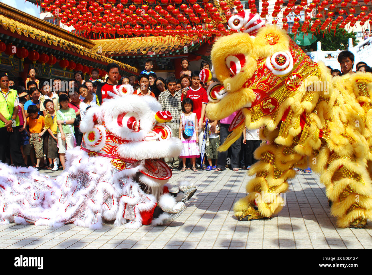 Two Lion dance performance during Chinese New Year festival Stock Photo ...