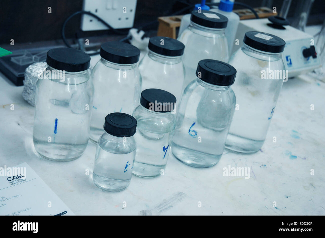 A shot of a group of chemical jars and containers in a laboratory Stock