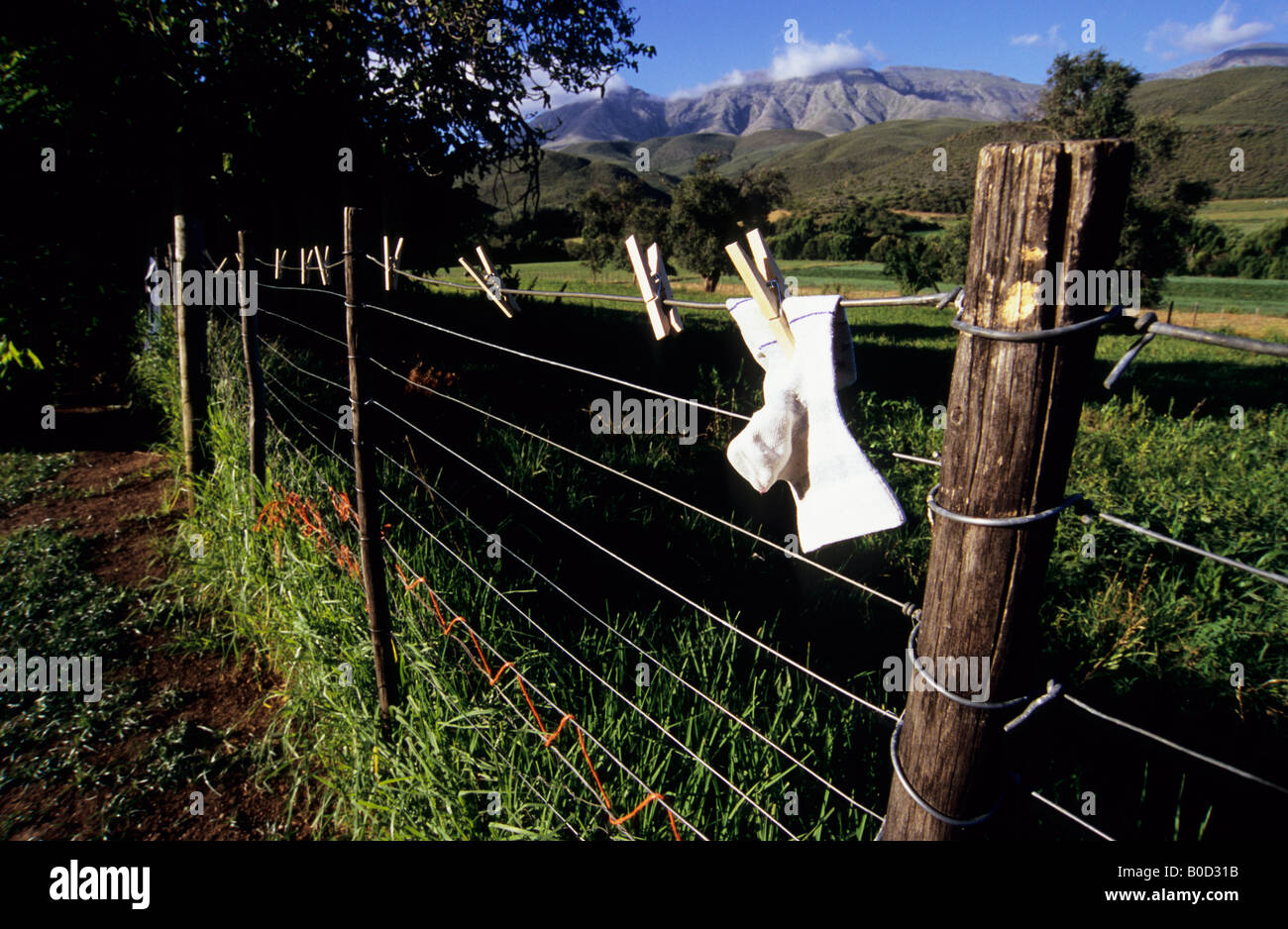 Oudtshoorn, Western Cape, South Africa, beautiful landscape, sock