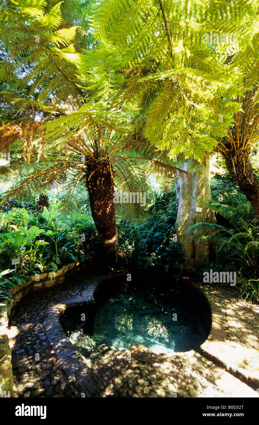 Cape Town, Western Cape, South Africa, Gardens, The Dell water feature