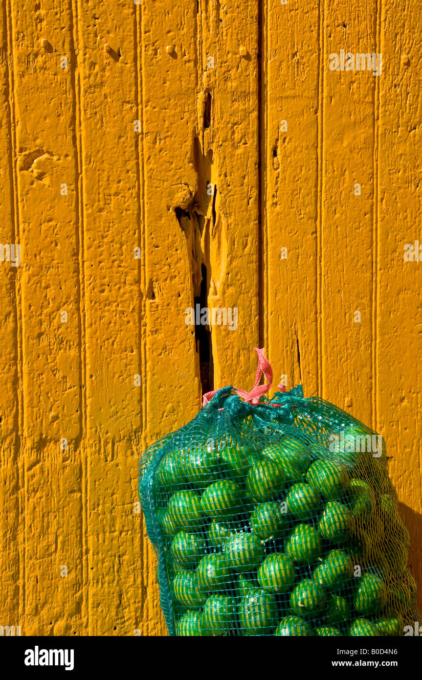 Sack of lovely bright green limes shot against an even brighter yellow door in Puebla Mexico Stock Photo