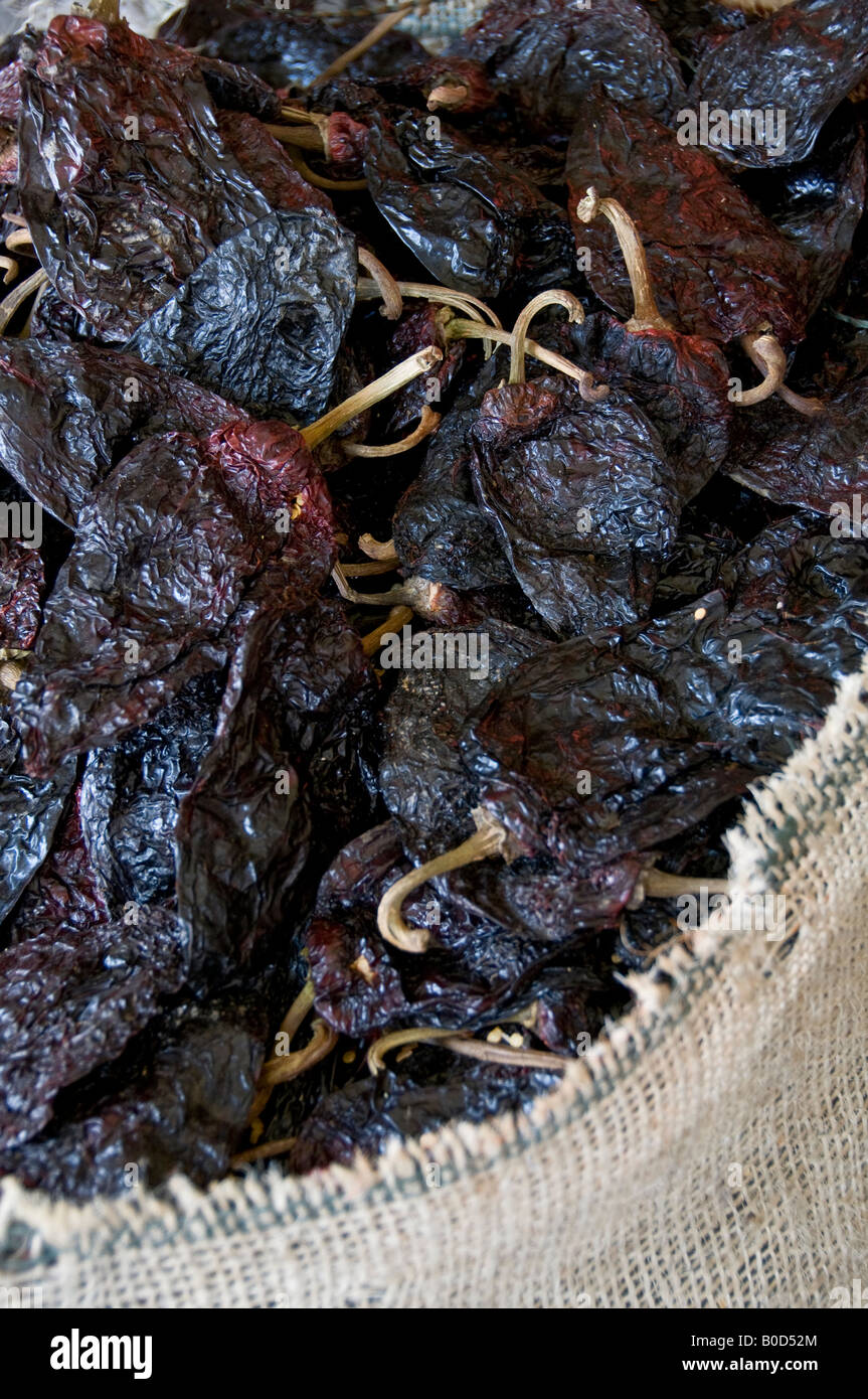 Featured image of post How to Make Ancho Chillies Australia