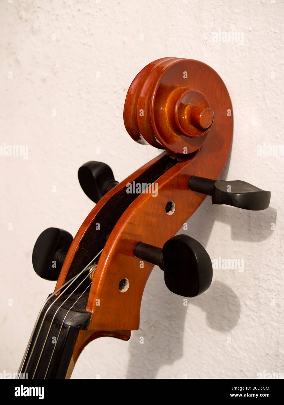 scroll-detail-on-a-cello-B0D5GM.jpg
