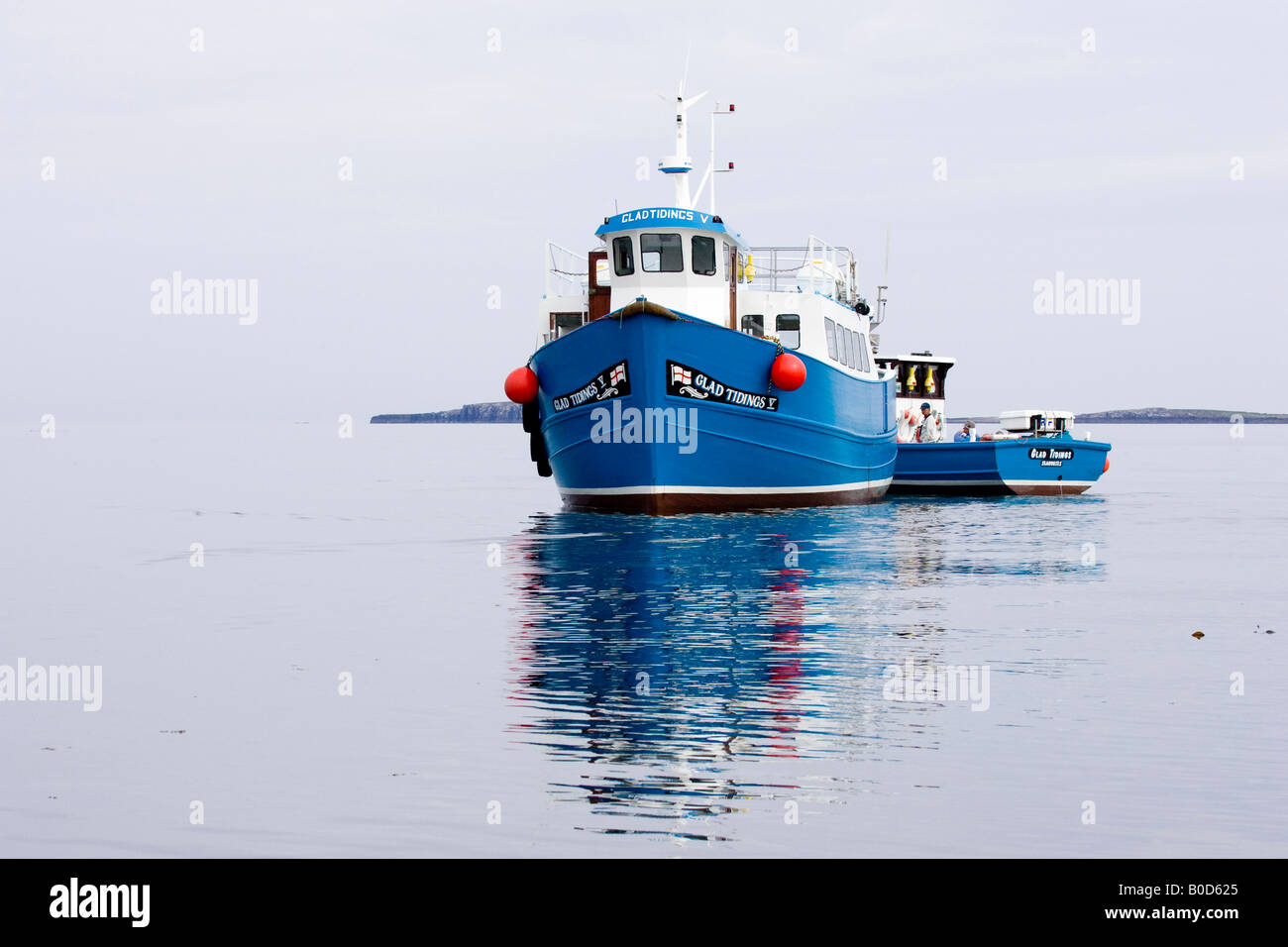 Glad Tidings tour boats in North Sea off old fishing village Seahouses, Northumberland, England, UK Stock Photo