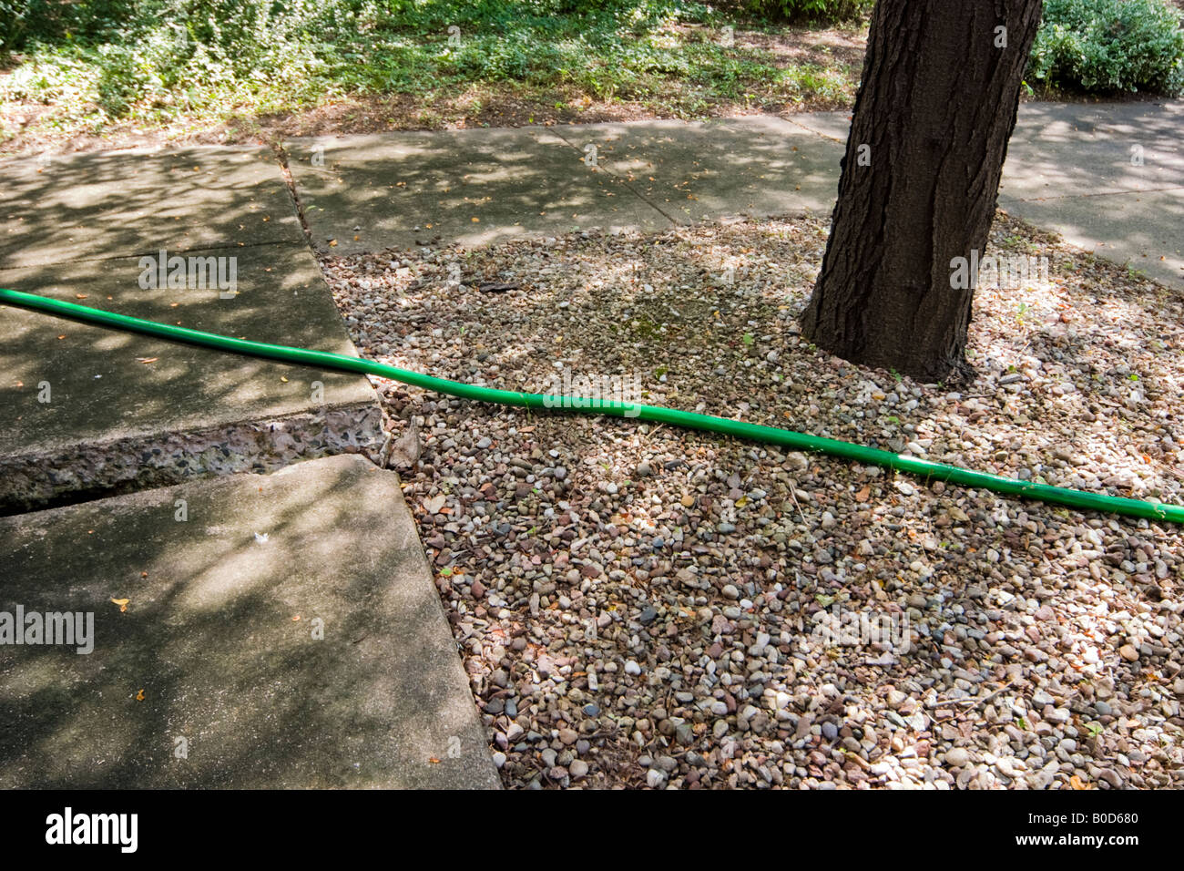 Green water hose laying on the ground near a cracked sidewalk Stock Photo