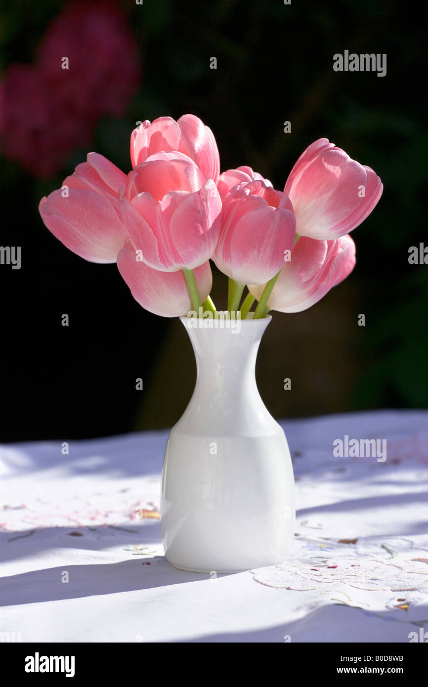 tulip, tulips, tulips vase, vase, pot, flower, flower pot, flora, table, garden, summer, pink, pink tulip, pink tulips, tabletop Stock Photo