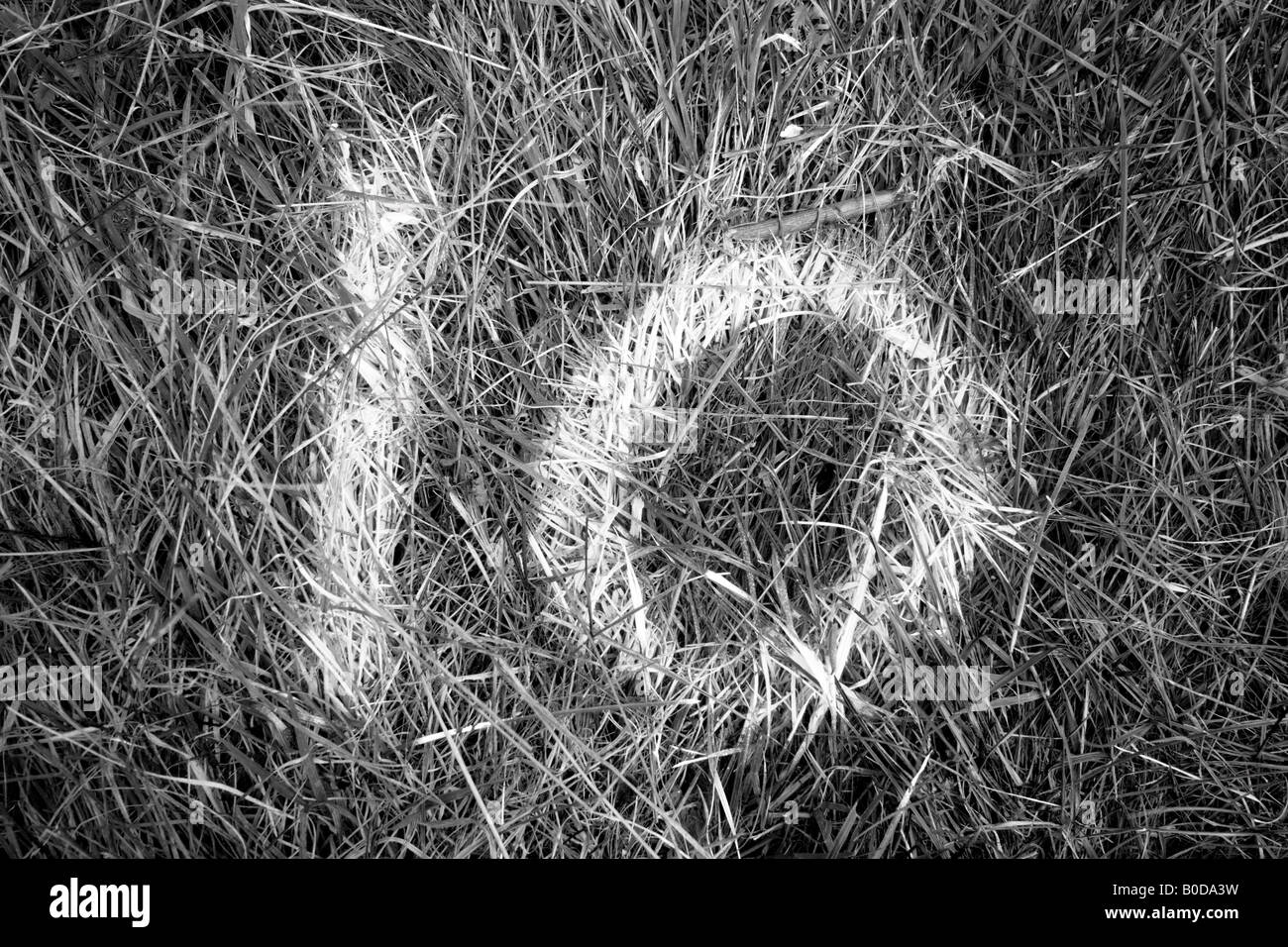 Fishing match swim mark on the bank of the river Thames near Henley Stock Photo