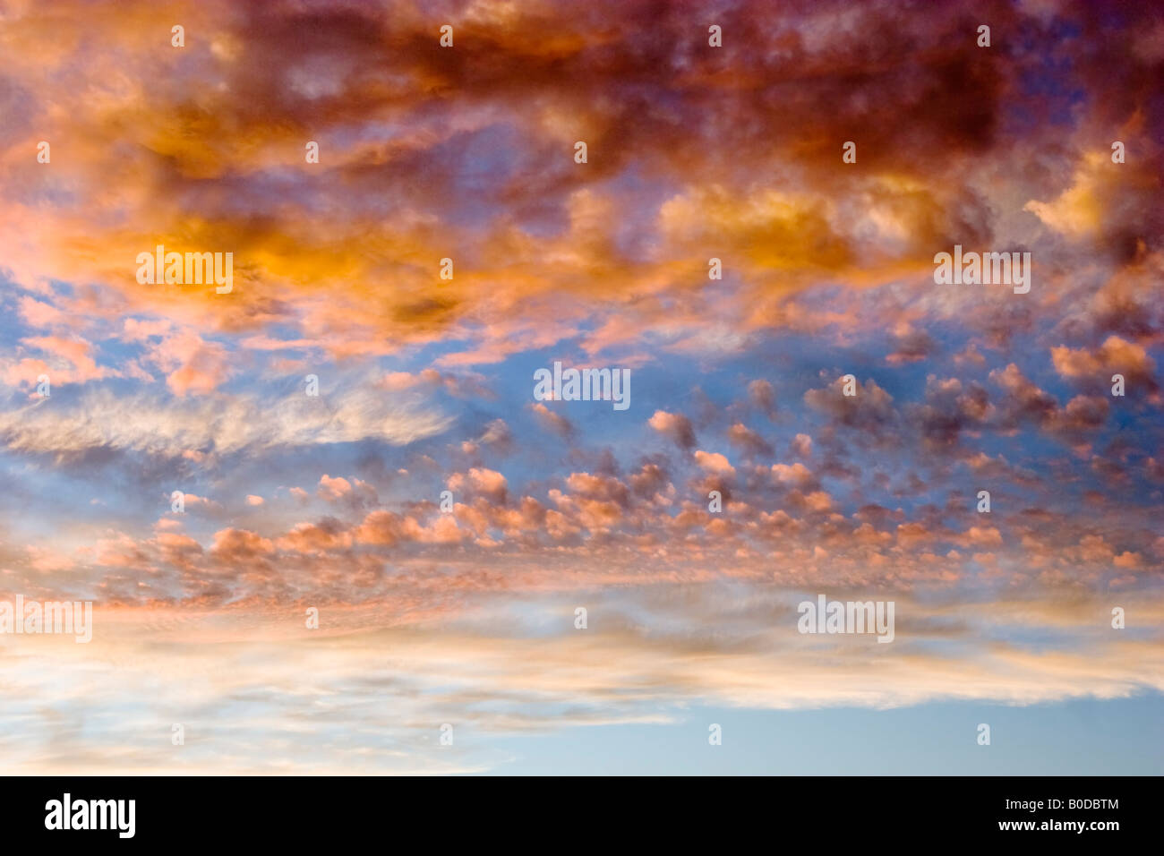 Sunset with cumulus cloud formations Stock Photo - Alamy