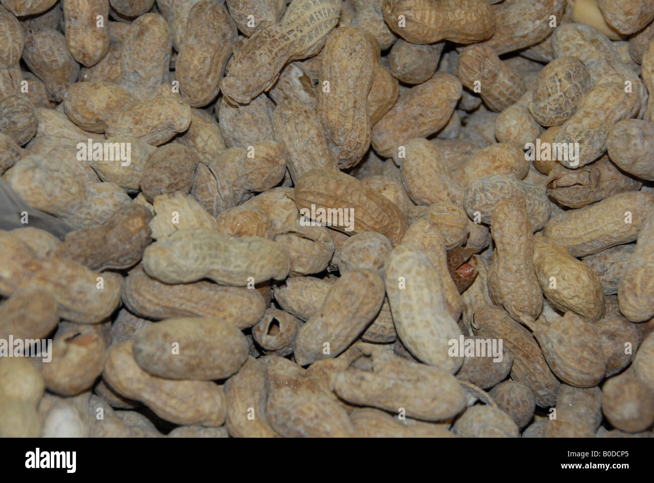 A group of peanuts in the produce aisle of a grocery store Stock Photo