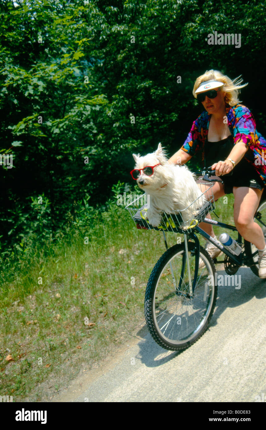 Woman biking with her small dog in a basket, Ohiopyle State Park Stock Photo Alamy