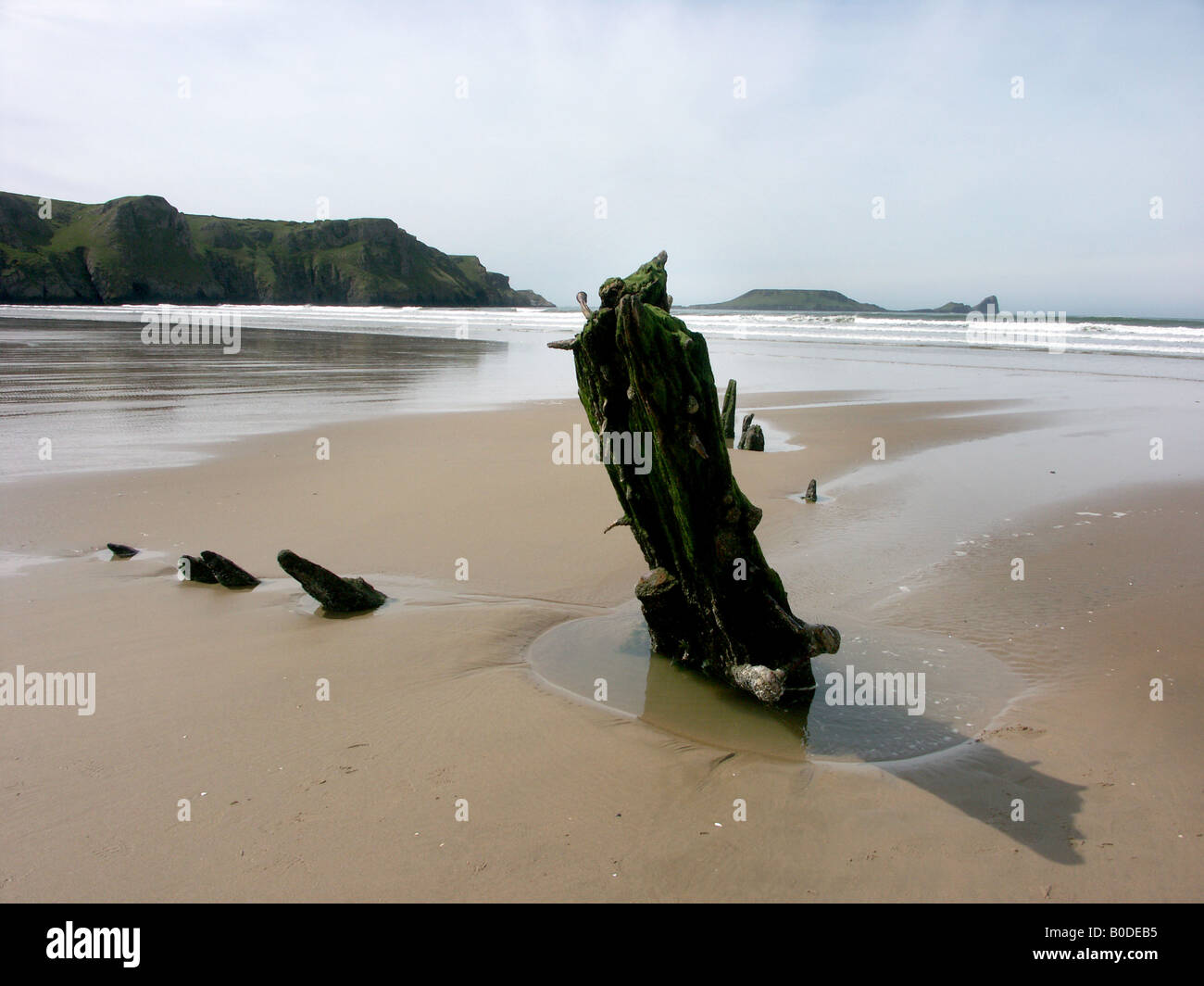 Remains of the hull timbers of the Helvetia, shipwrecked in Rhossili Bay 1887, with Worms Head behind. Gower, Glamorgan, Wales Stock Photo
