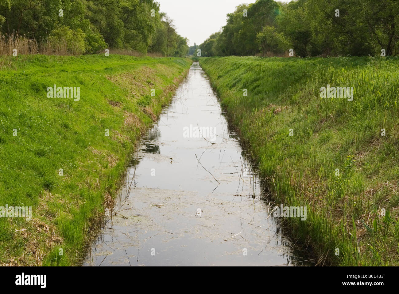 Holme Fen dyke drainage ditch Cambridgeshire UK Lowest point in Britain Nature Reserve to left and right of dyke HOMER SYKES Stock Photo